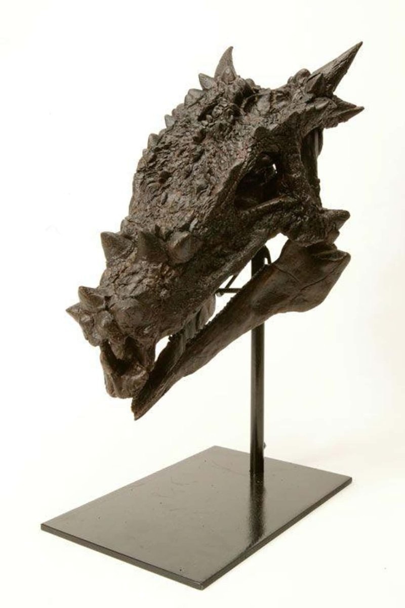 11. Дракорекс - род динозавров семейства пахицефалозавров, живший в позднем меловом периоде в Северной Америке
