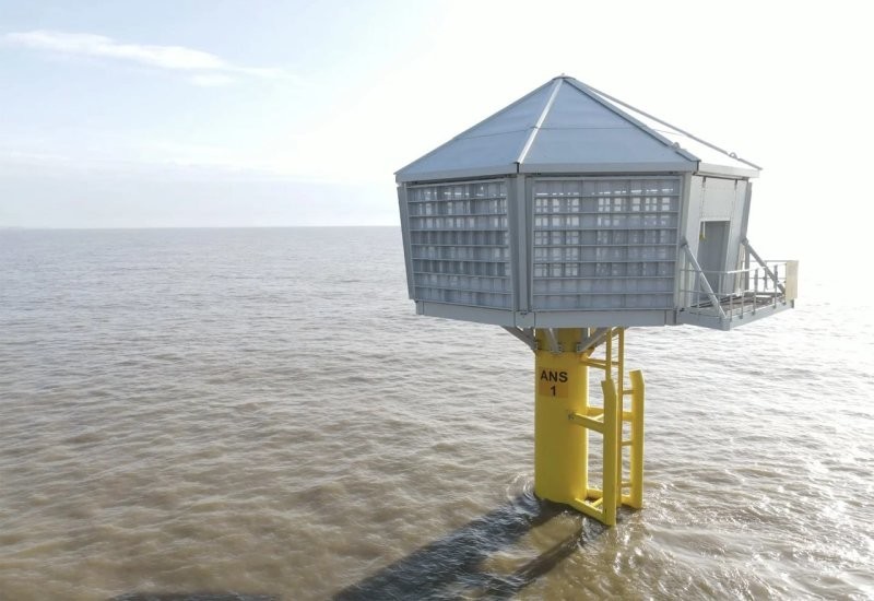У берегов Великобритании построили гигантские скворечники