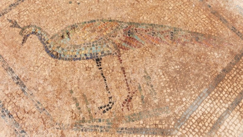 В Испании нашли мозаику римской эпохи с изображением Медузы Горгоны