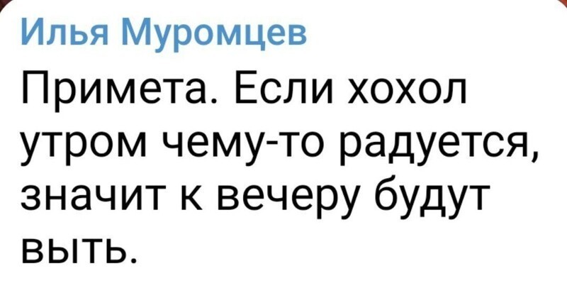 О политике и не только