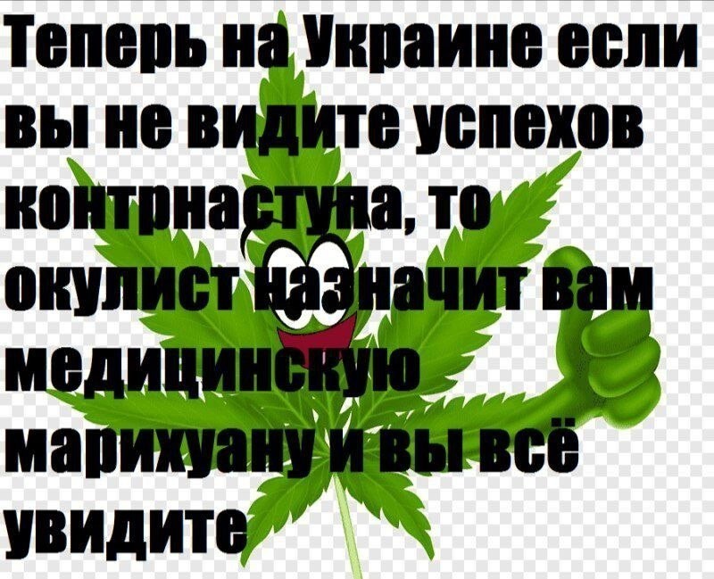 О политике и не только