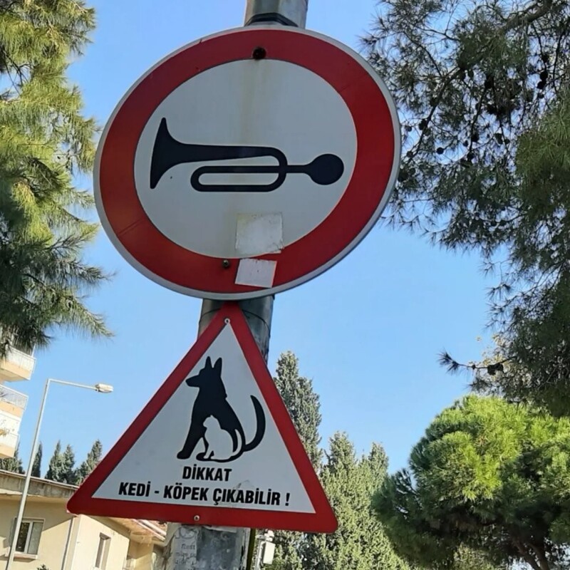 1. Предупреждение о животных в Турции