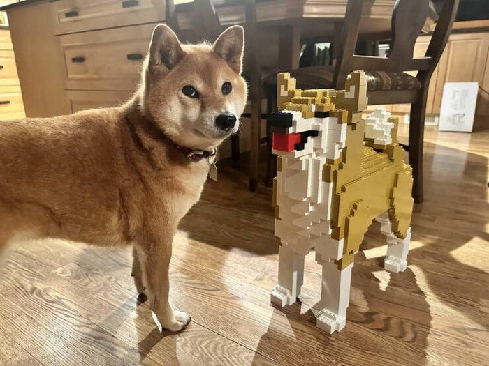 Намешалось&nbsp;