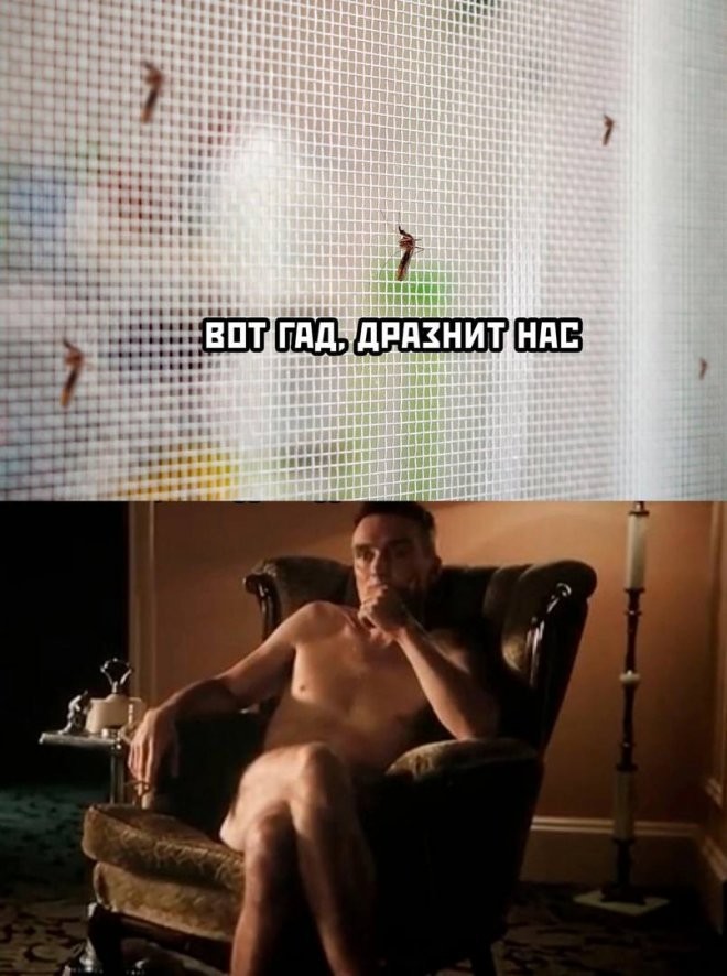 Не ищите здесь смысл. Здесь в основном маразм