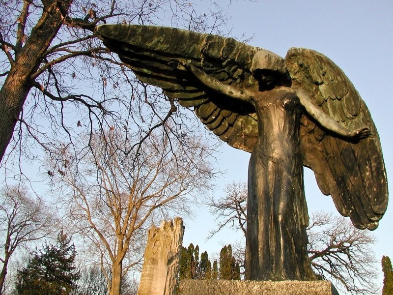 5. Черный ангел на Оклендском кладбище
