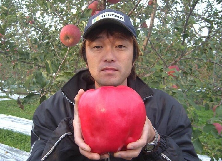 3. Самое большое яблоко, когда-либо собранное в мире, весило 1,84 кг и было выращено Чисато Ивасаки в Японии