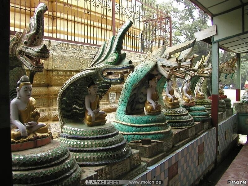 Змеиный храм. Змеиный храм Малайзия. Храм змей Пенанг. Змеиный храм Индия. Храм в виде змеи в Индии.