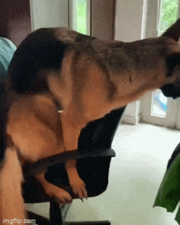 Вместе не тесно