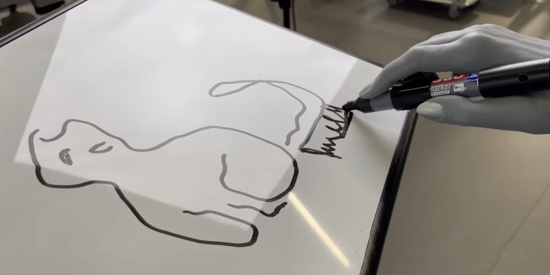 Человекоподобный робот Ameca нарисовал кошку и ответил на критику