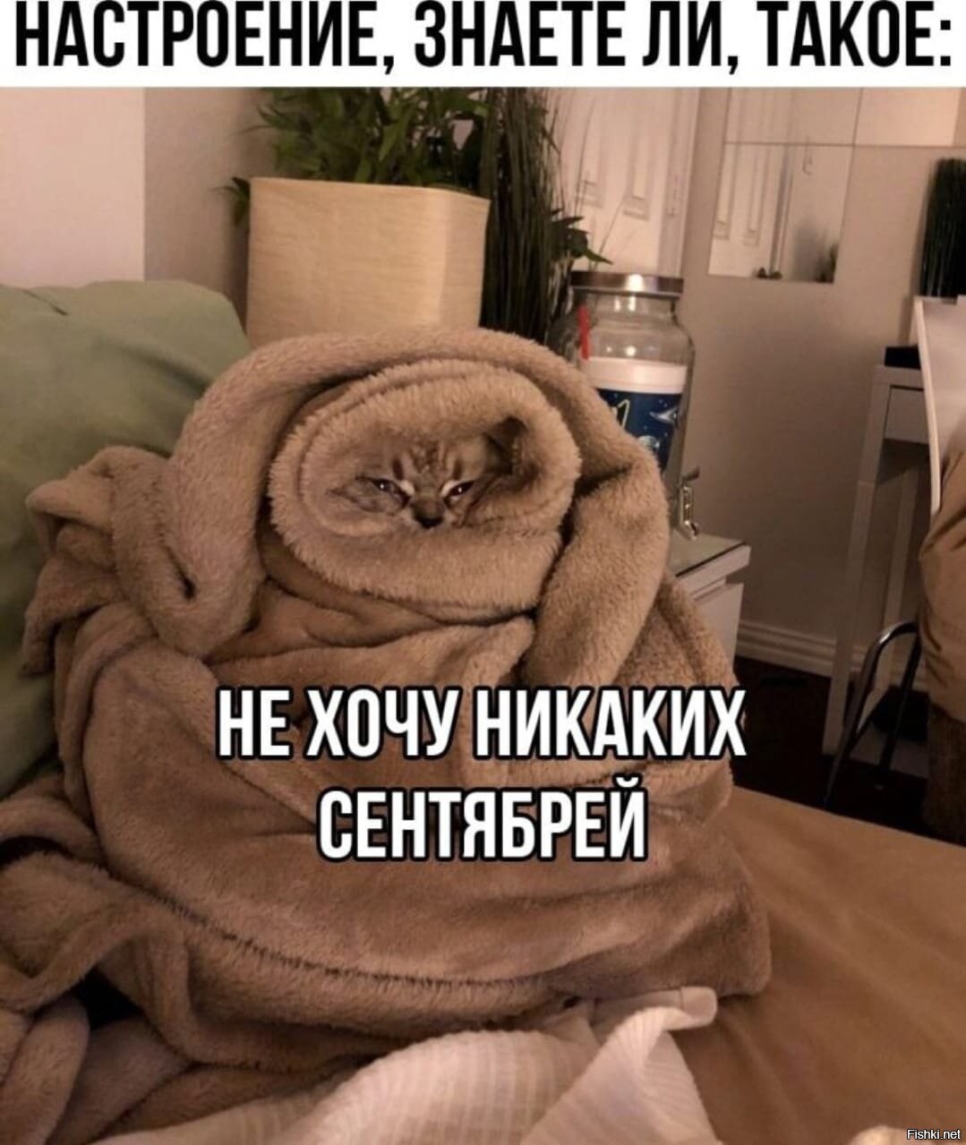 Нет настроения. Никто не испортит мне настроение. Что это ты не в настроении. Как настроение. Что это ты не в настроении.