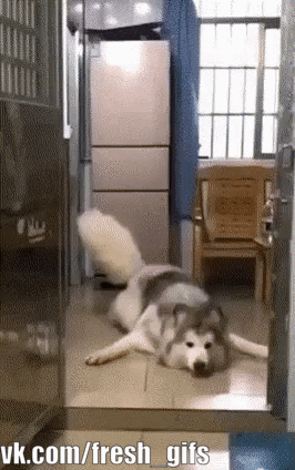 - Нахрена полы моете