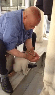 Пей, котейка