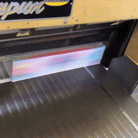 Солянка от 31.08.2023