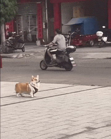 "Летают тут всякие"