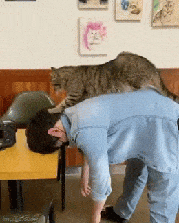 Сеанс массажа