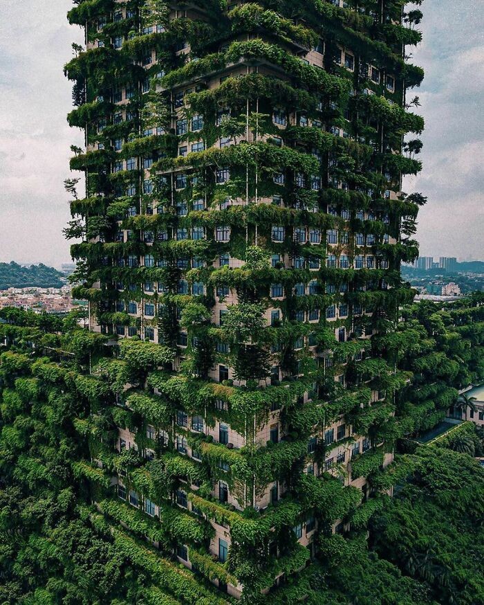 7. Вертикальный лес в Фошане, Китай. Здание окружено пышной растительностью, которая борется с загрязнением воздуха