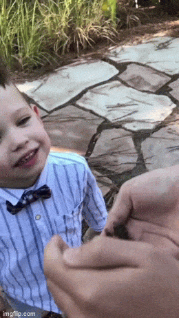 Так рождаются фобии