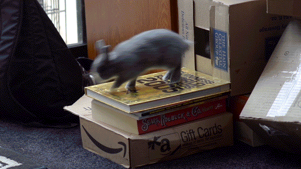 Просто гифки, всякие и&nbsp;разные