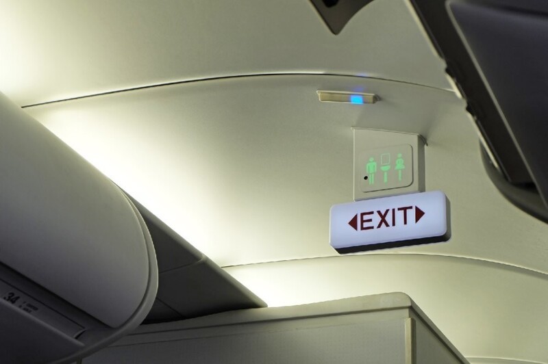 Пассажиров самолёта, летевшего на Ибицу, "застукали" во время секса в туалете