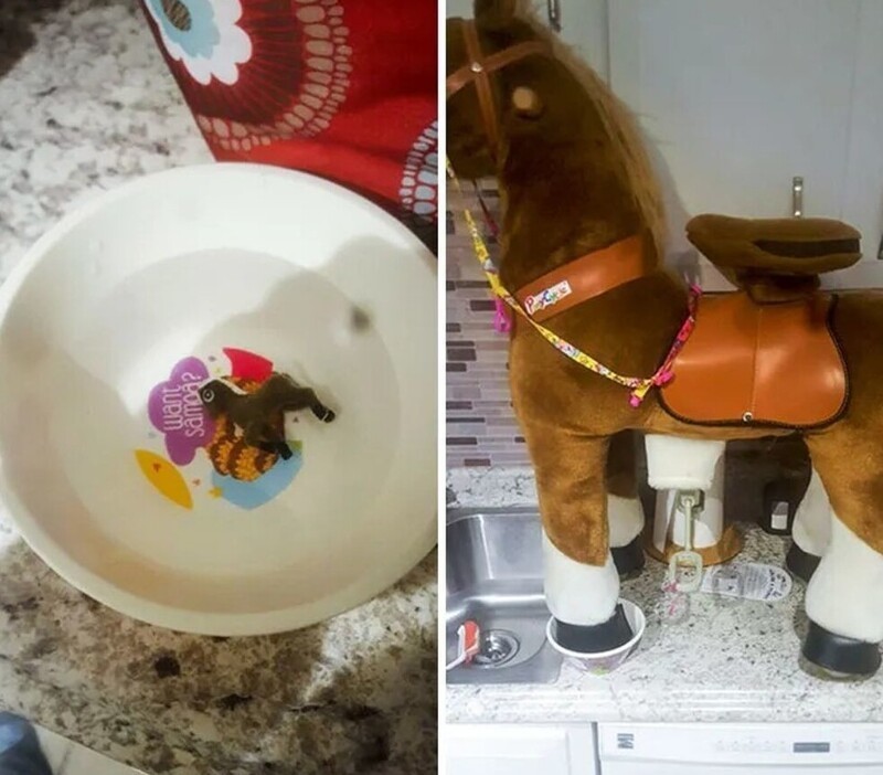 «Перед сном моя дочь положила пони в миску с водой. Я заменил его на это»