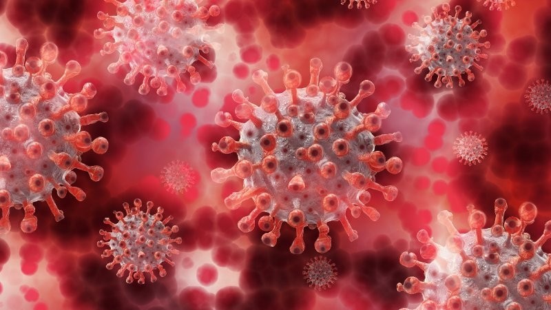 «Он может вызывать более тяжёлое течение болезни»: Всемирная организация здравоохранения рассказала о новом штамме коронавируса - «Пироле»
