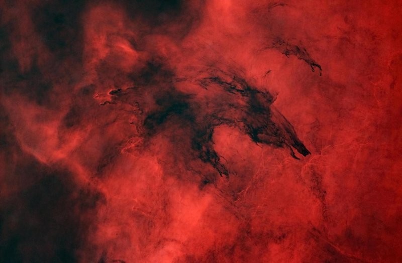 9. Туманность Волка, представляющая собой тёмное, плотное молекулярное облако. Фотограф - James Baguley