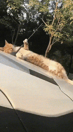 Просто гифки, всякие и&nbsp;разные