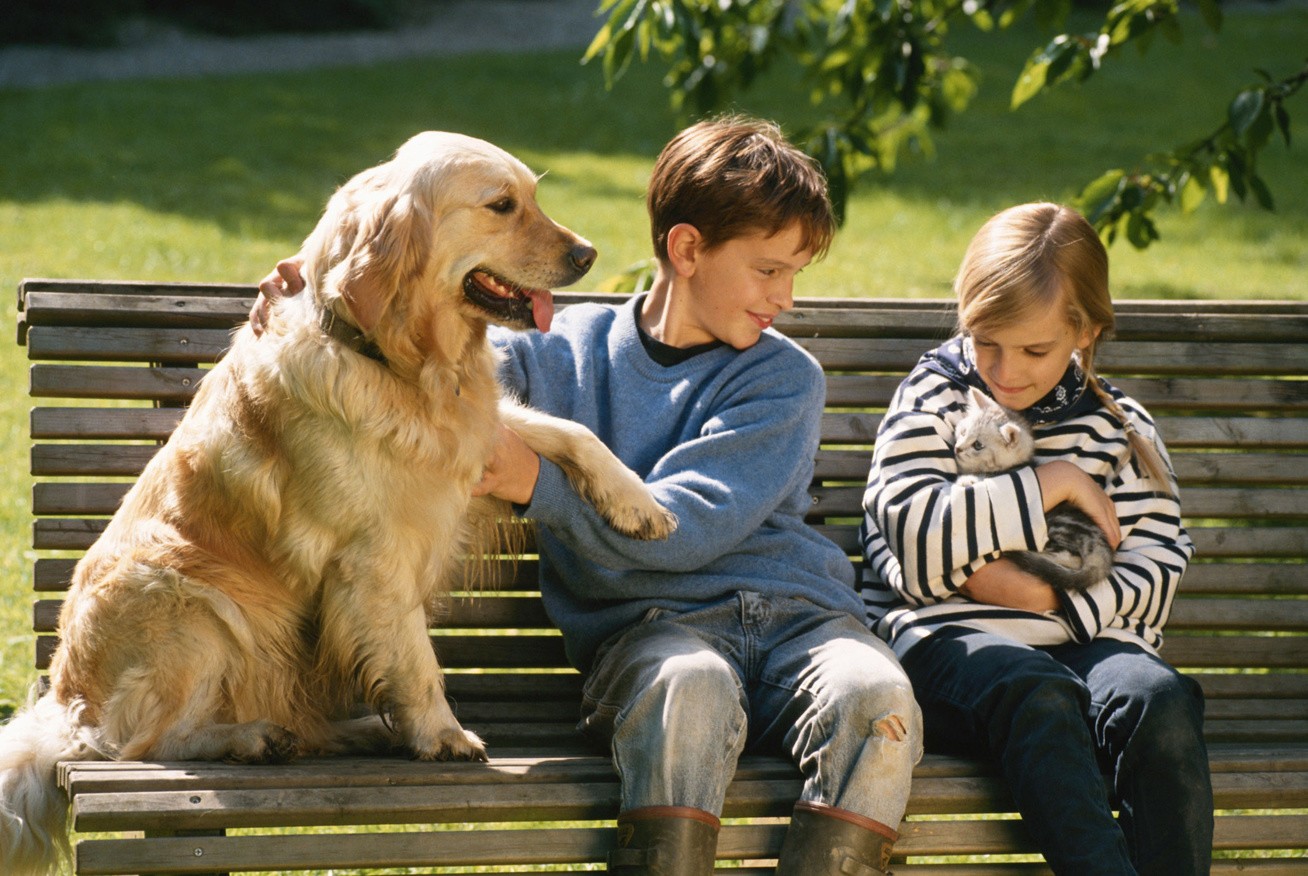 2 животных как 2 человека. Собака для детей. Домашние животные и человек. Собаки для семьи с детьми. Общение с животными.