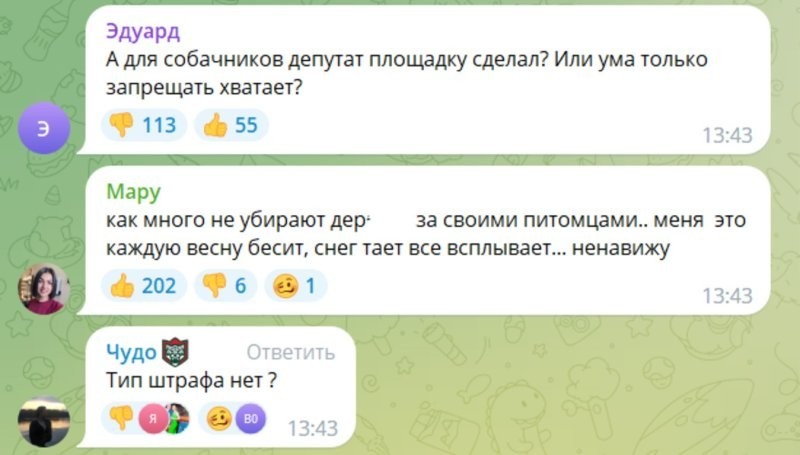 «Не понимаете по-хорошему - будет по-плохому»: помощник депутата Госдумы избил собачников, которые выгуливали своих питомцев возле его дома