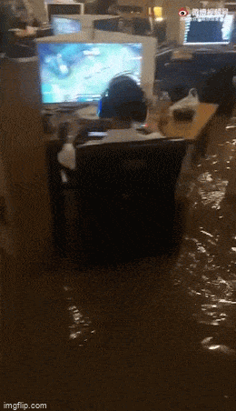 Вода, кругом вода