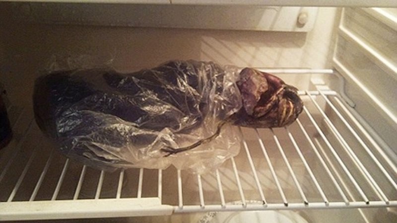 Инопланетянин в холодильнике