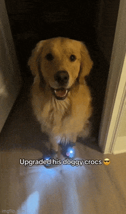 И по ночам гулять не страшно