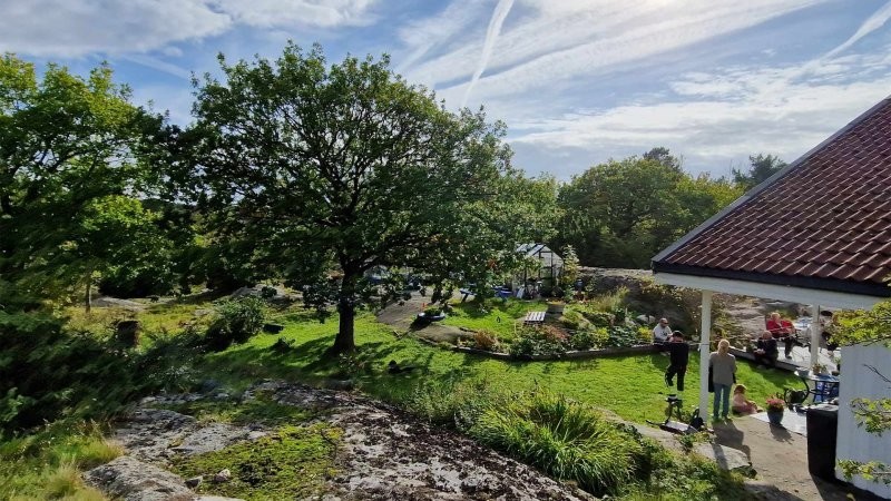 Норвежская семья искала во дворе серьгу, а нашла украшения викингов