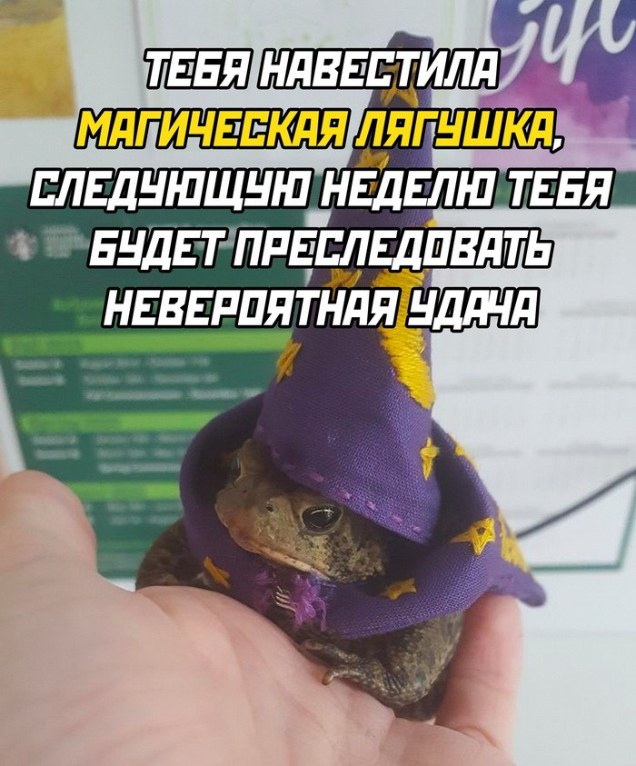 Скрины из соцсетей&nbsp;