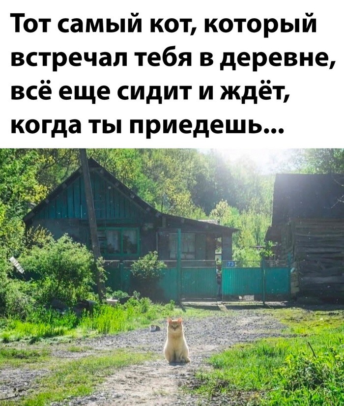 Скрины из соцсетей&nbsp;