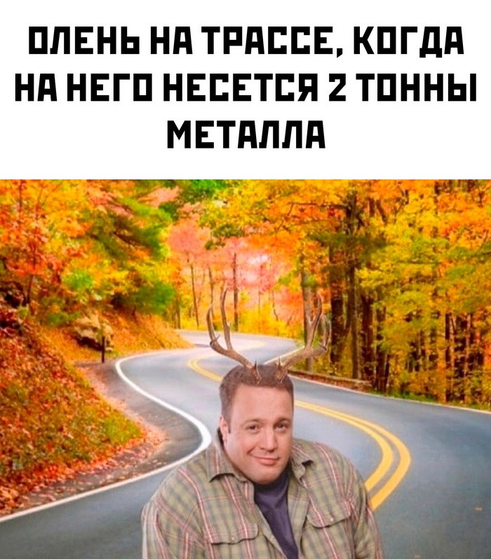 Скрины из соцсетей&nbsp;