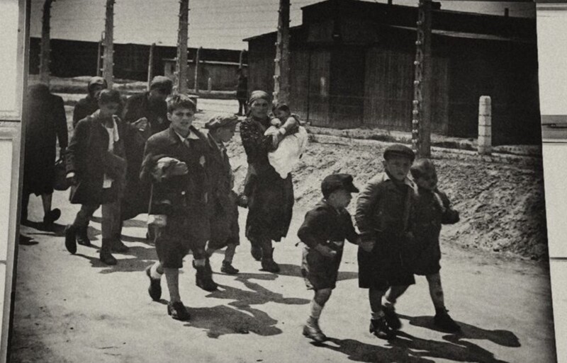 Вновь прибывшие узники лагеря Освенцим