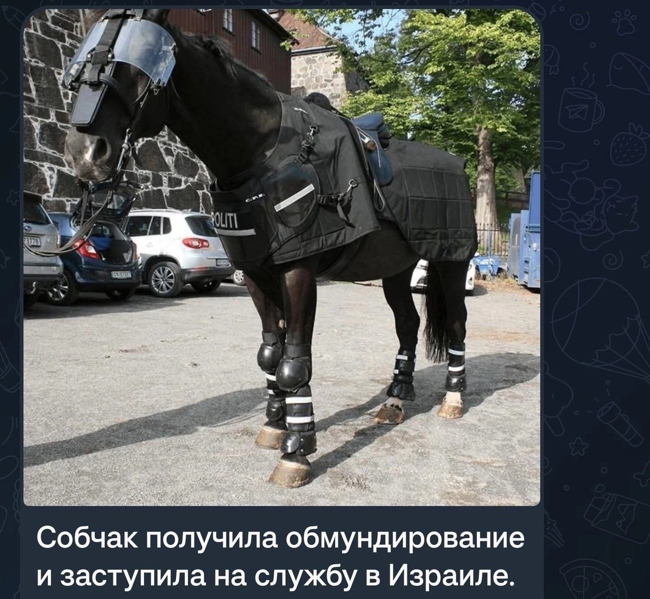Полицейская лошадь