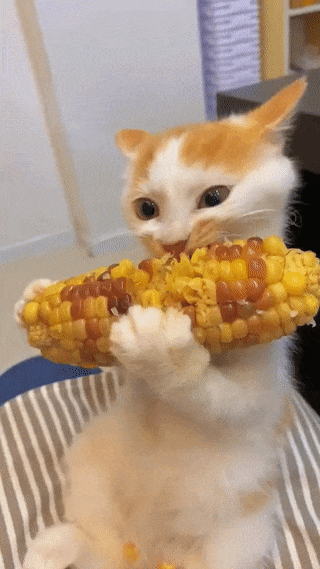 С добрым утром!