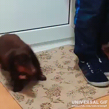 - Вытерайте ноги