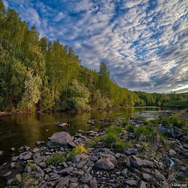 Челябинская река. Река Миасс. Река Миас Урал. Миасс река реки Челябинской. Река Миас Челябинской области.