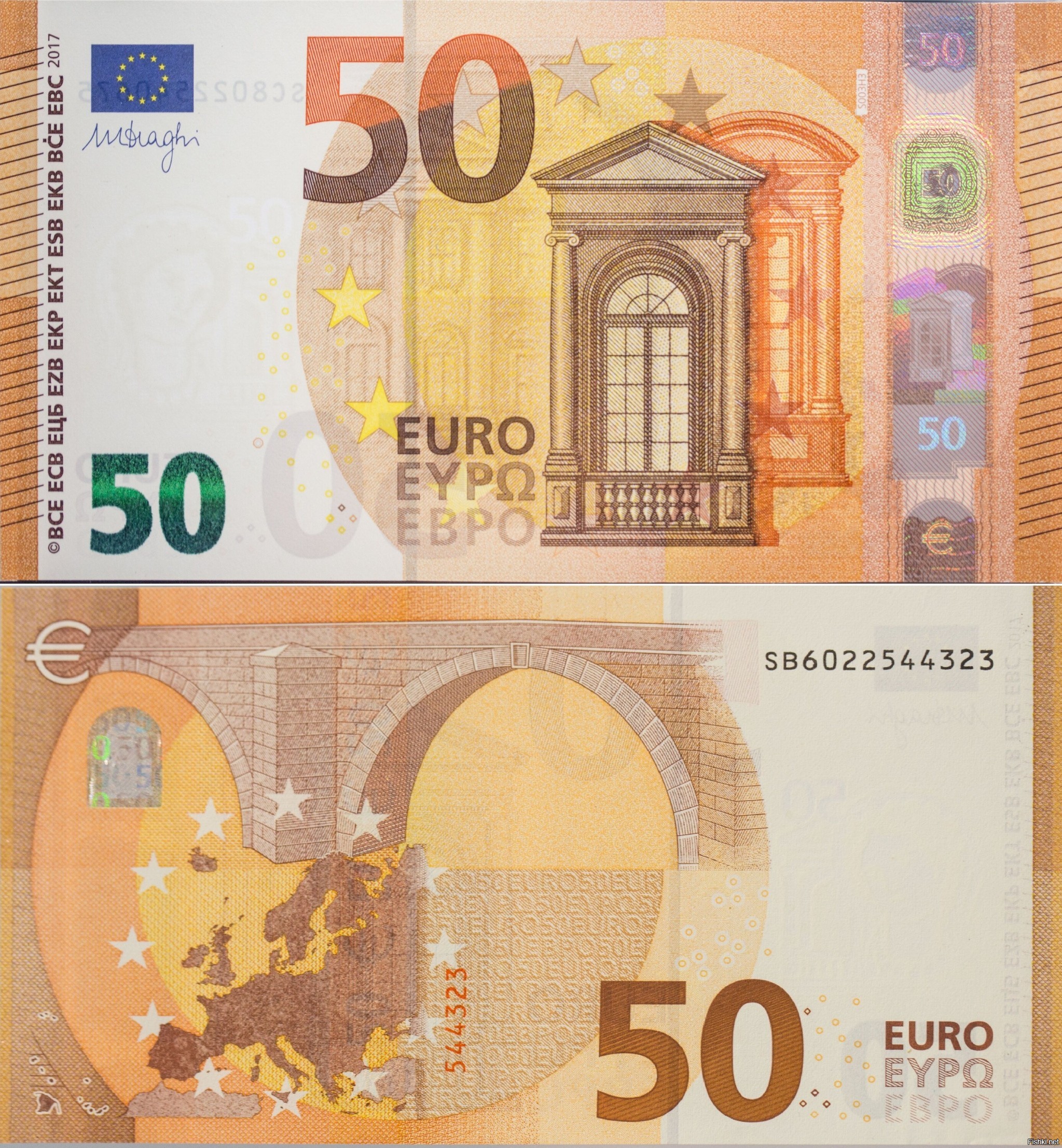 Как выглядит купюра 50. Банкноты 50 евро. Банкноты евро нового образца 50 евро. 50 Евро купюра 2017. Как выглядит банкнота 50 евро.