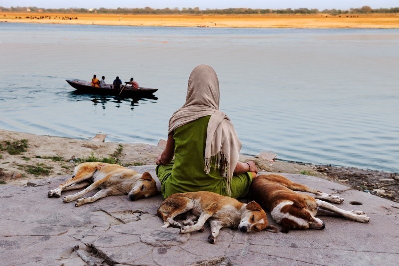 Женщина в окружении собак занимается утренней медитацией на берегу реки Ганг в Варанаси, Индия, 2010 год