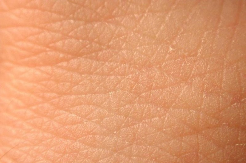 17. Человеческая кожа полностью заменяется около 1000 раз в течение жизни человека