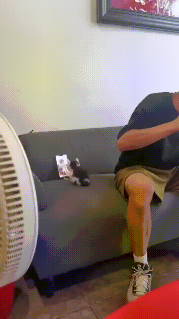 "Дай отцу поесть спокойно"