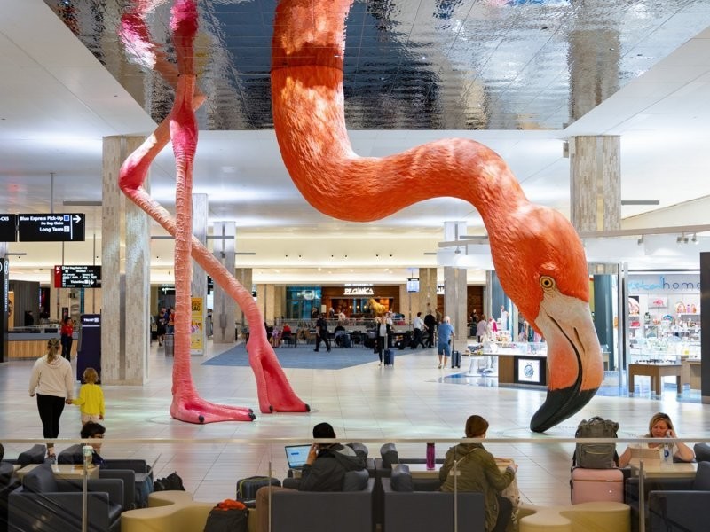 10. Розовый фламинго является неофициальным символом аэропорта города Тампа, штат Флорида, США