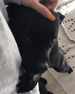 С добрым утром