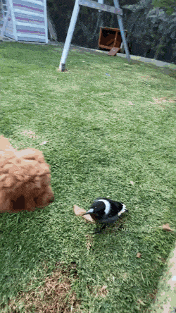 С добрым утром