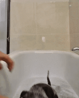 С добрым утром