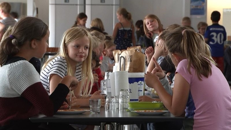 В Дании решили убрать красное мясо из меню школ и детских садов
